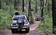 20-Jedi follows The Wanderra along the Avon River Track